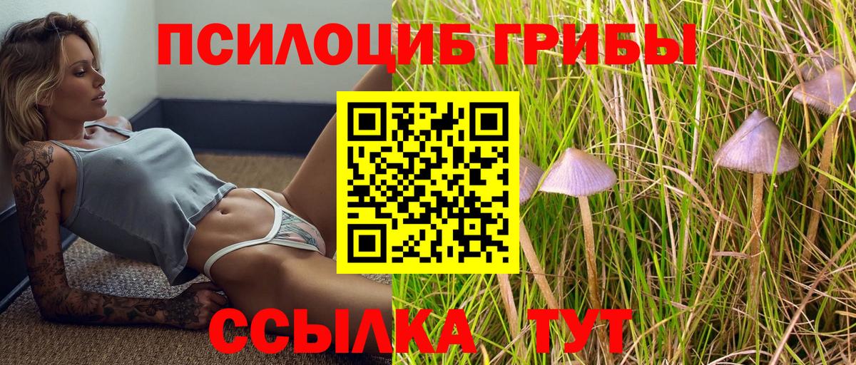 Галлюциногенные грибы Magic Shrooms  Псилоцибиновые грибы GOLDEN TEACHER  Грозный  Вход с VPN 